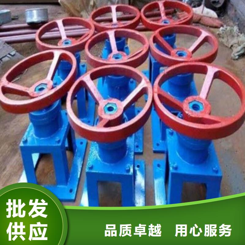 螺杆启闭机-卷扬启闭机厂家严选好货