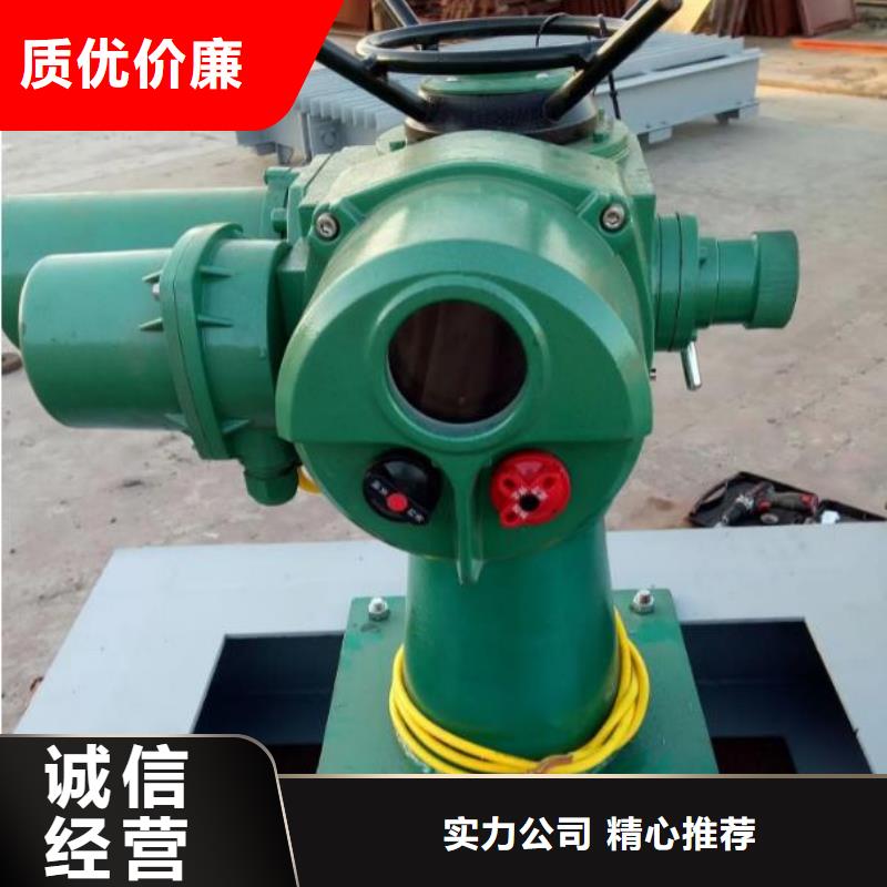 【螺杆启闭机双向止水闸门品质服务诚信为本】