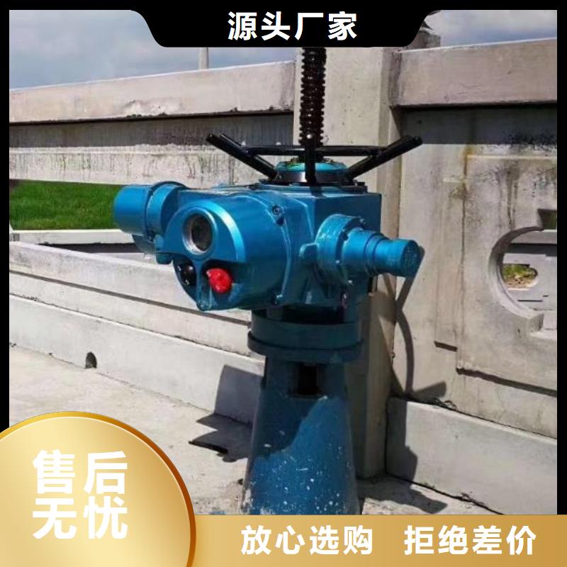 螺杆启闭机,铸铁闸门采购