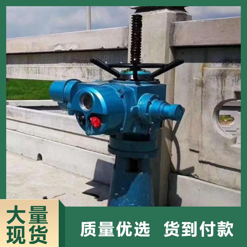 【螺杆启闭机钢制闸门品质保证】