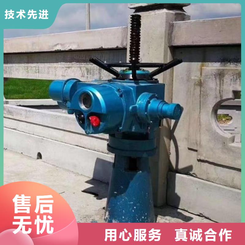 【螺杆启闭机】_拍门用心制作