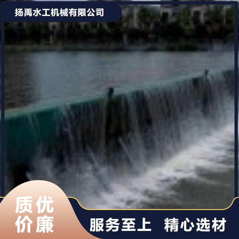 翻板闸门种类丰富