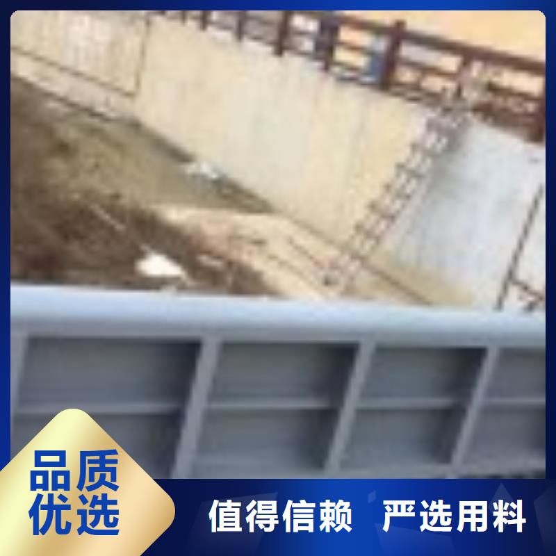 翻板闸门钢制拍门用品质说话