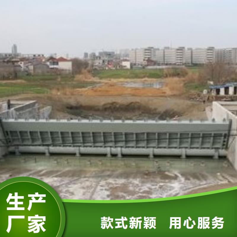 翻板闸门拦污栅质量安心