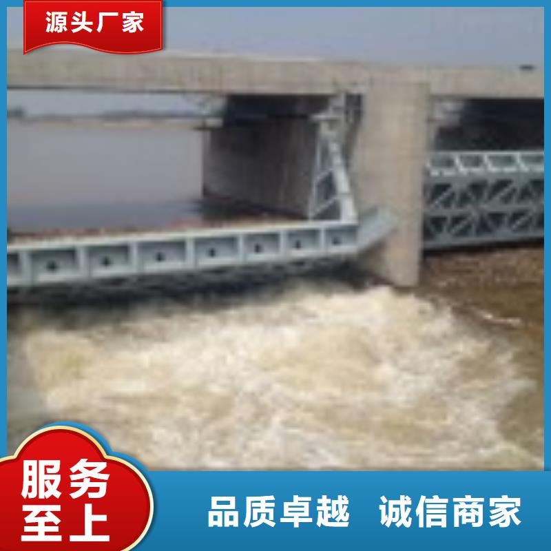 翻板闸门_钢制拍门追求品质