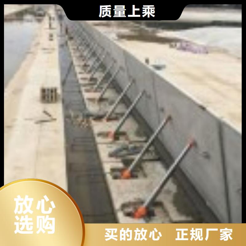 翻板闸门球墨铸铁闸门实力厂家直销