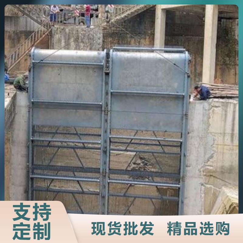 清污机【钢制拍门】满足客户需求