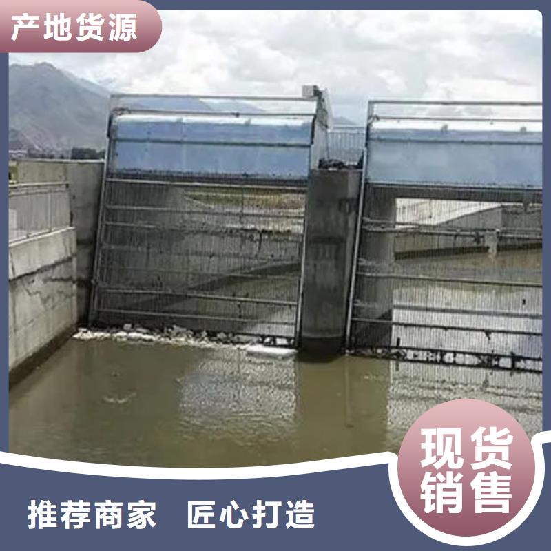 清污机钢制拍门厂家就近发货