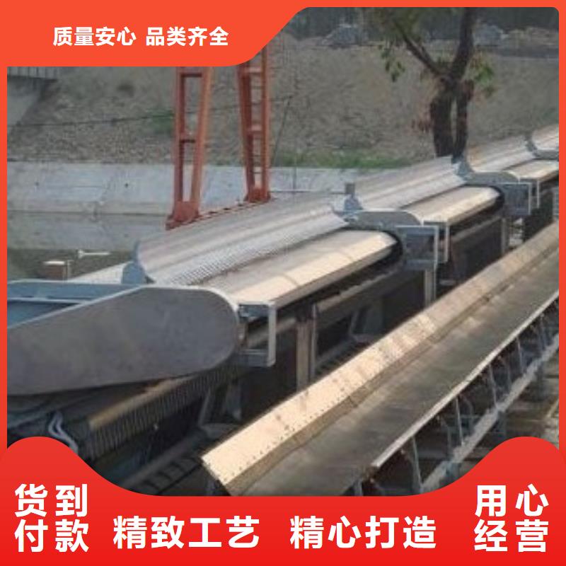 清污机钢制拍门源头厂家经验丰富