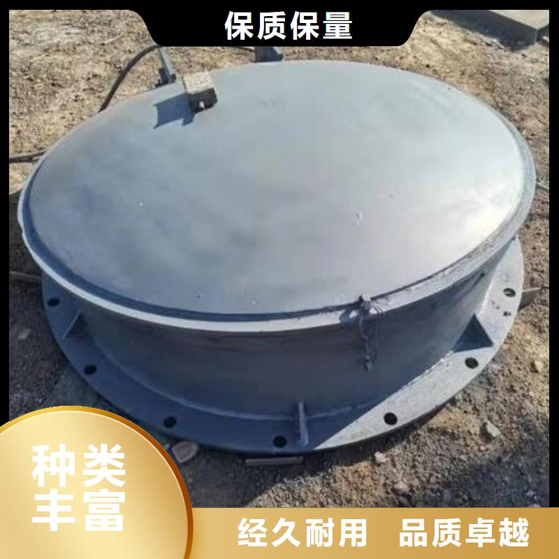 拍门钢制闸门多年行业经验