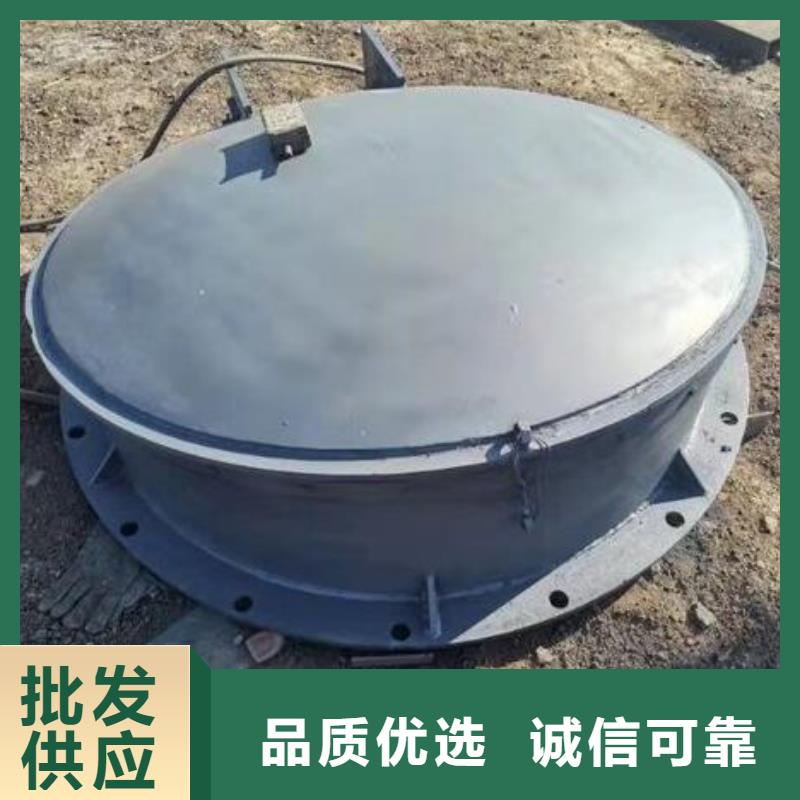 拍门,卷扬启闭机厂家直销厂家