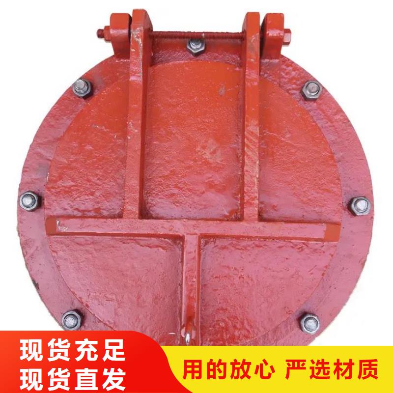 拍门,卷扬启闭机厂家懂您所需