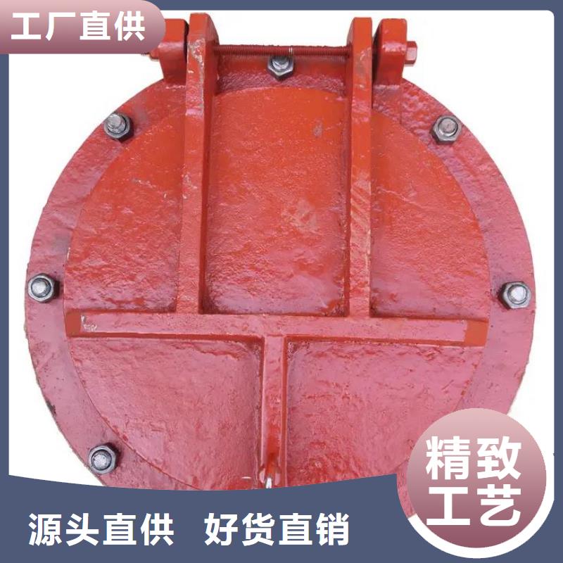 拍门钢制拍门源头把关放心选购