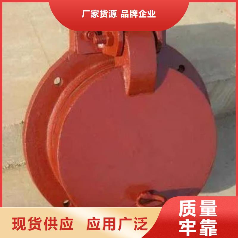 拍门厂家供应