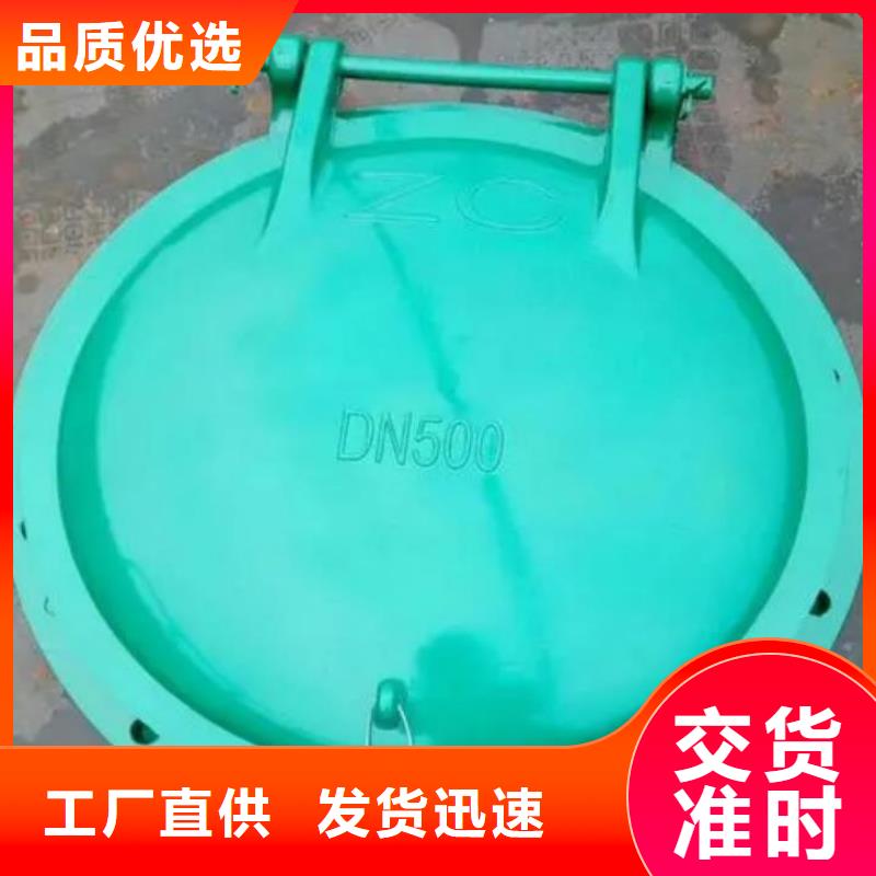 【拍门-闸门支持定制加工】