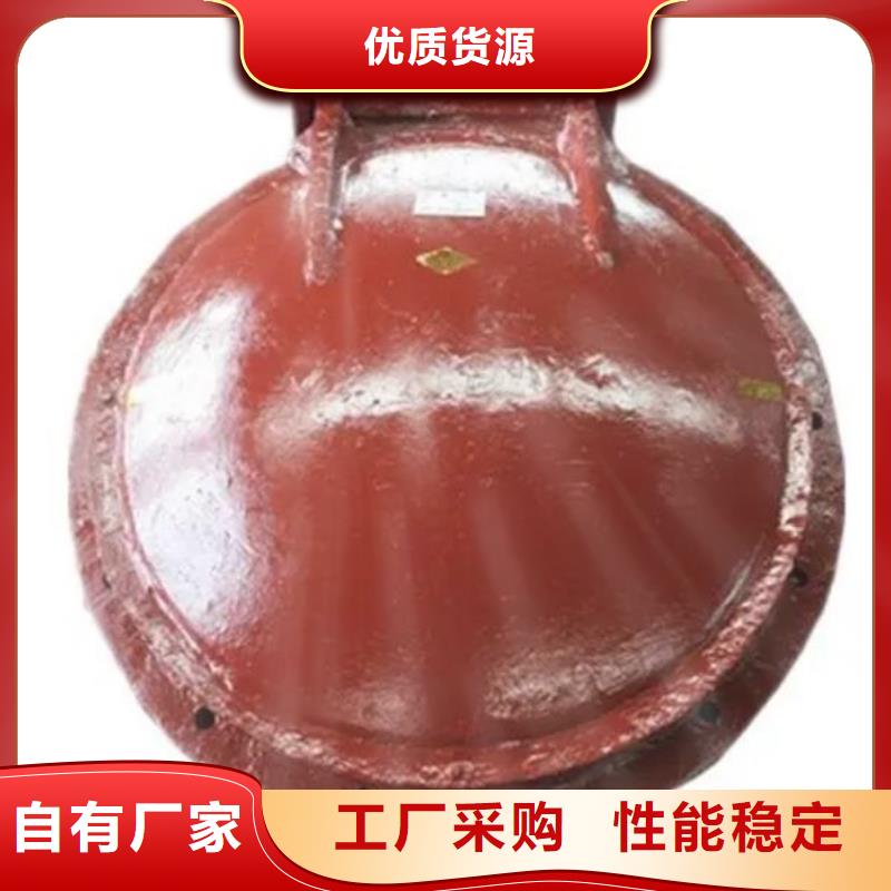 拍门-玻璃钢拍门敢与同行比服务