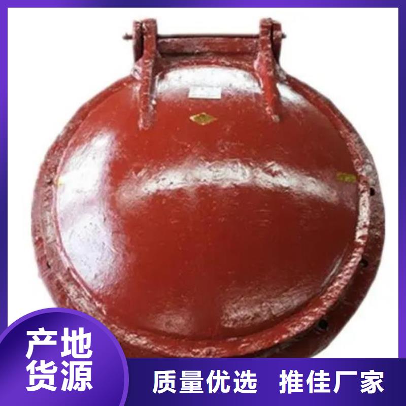 拍门-钢制闸门支持大批量采购