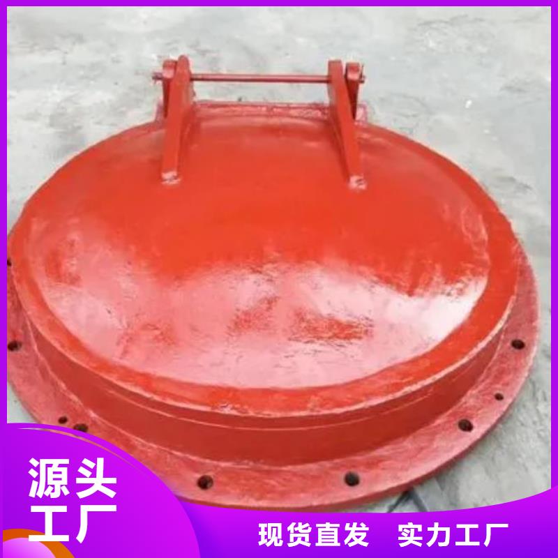 【拍门机闸一体式闸门现货满足大量采购】