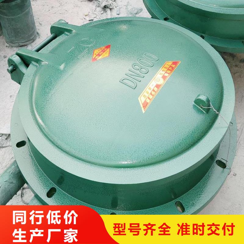 拍门_齿耙式清污机随心所欲定制