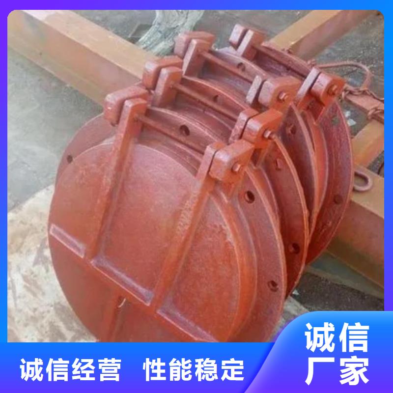 拍门封闭式启闭机用心做好每一件产品