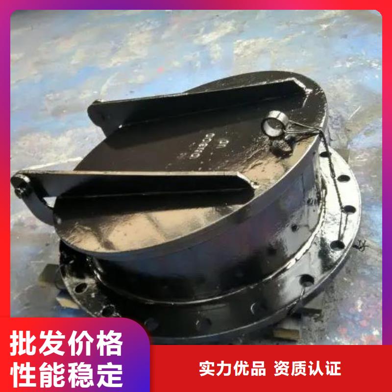 【拍门】,螺杆启闭机工厂自营