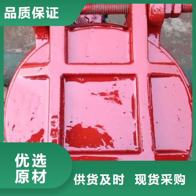 拍门-不锈钢清污机货源直供