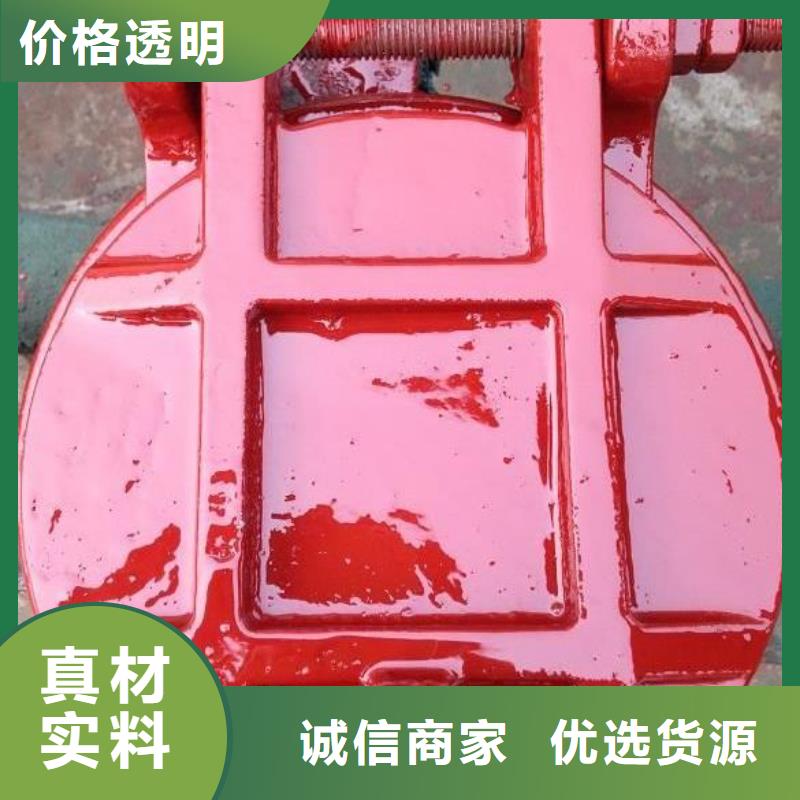拍门球墨铸铁闸门层层质检