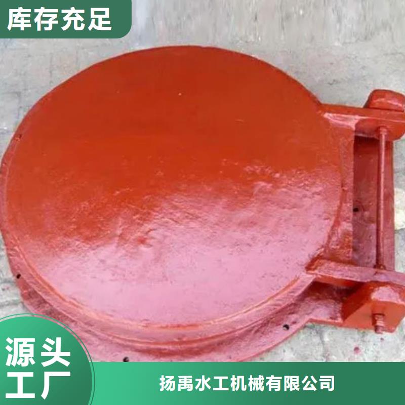 拍门-启闭机自有厂家