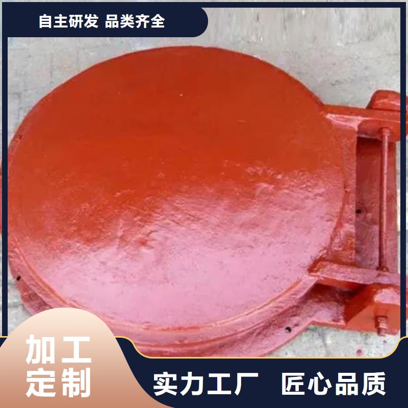 拍门钢制闸门用好材做好产品