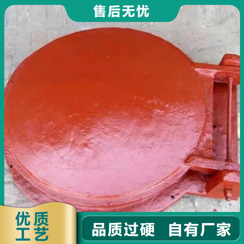 拍门,【回转式清污机】支持定制加工