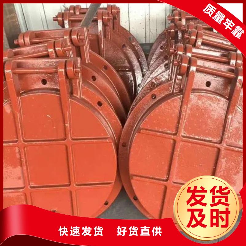拍门钢制拍门源头把关放心选购
