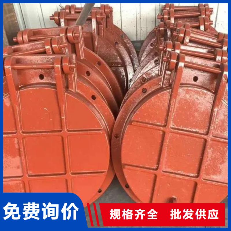 拍门封闭式启闭机用心做好每一件产品