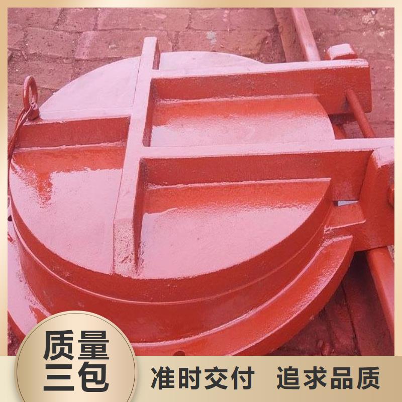 【拍门,不锈钢拍门48小时发货】