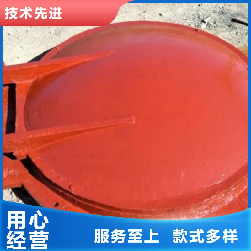 拍门-启闭机自有厂家