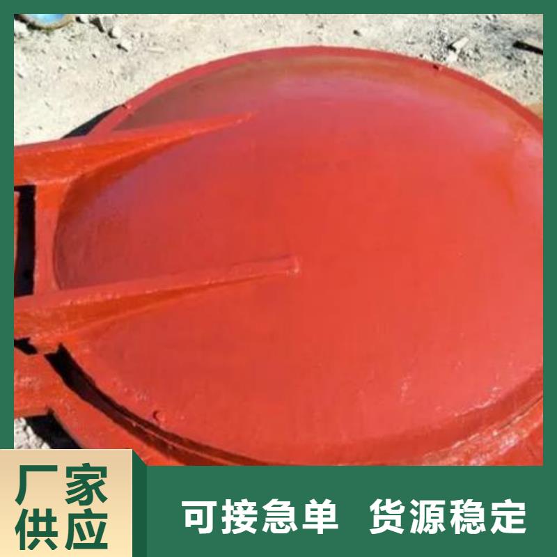 拍门封闭式启闭机用心做好每一件产品