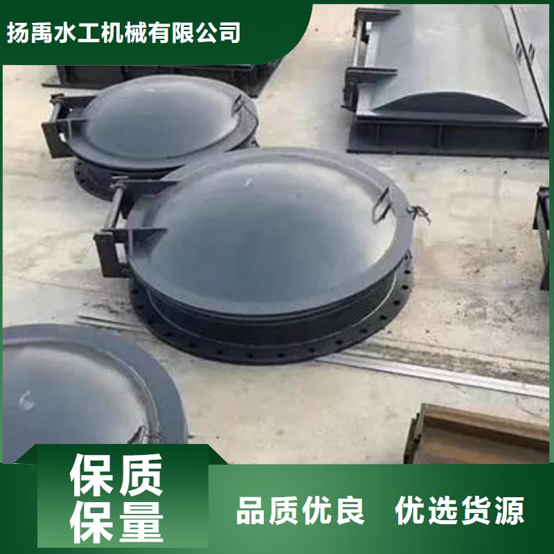 拍门景观钢闸门用心制造