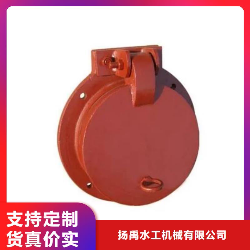 【拍门-闸门支持定制加工】