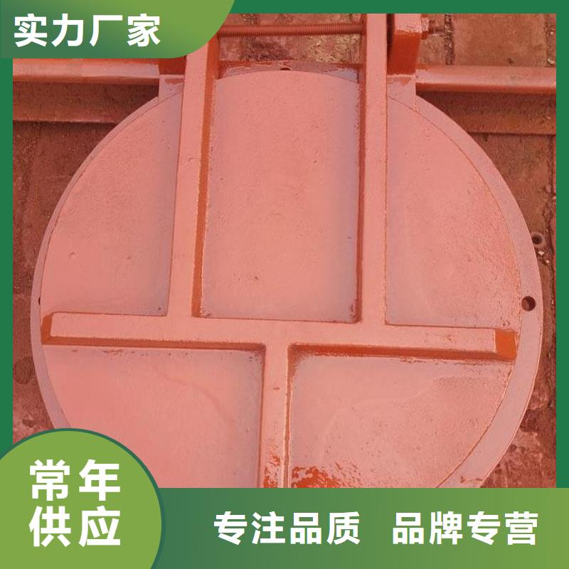 【拍门机闸一体式闸门现货满足大量采购】