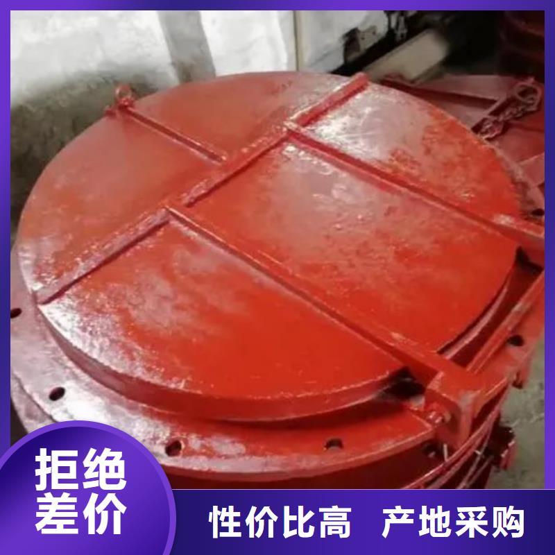 拍门-泵站铸铁闸门优选厂商