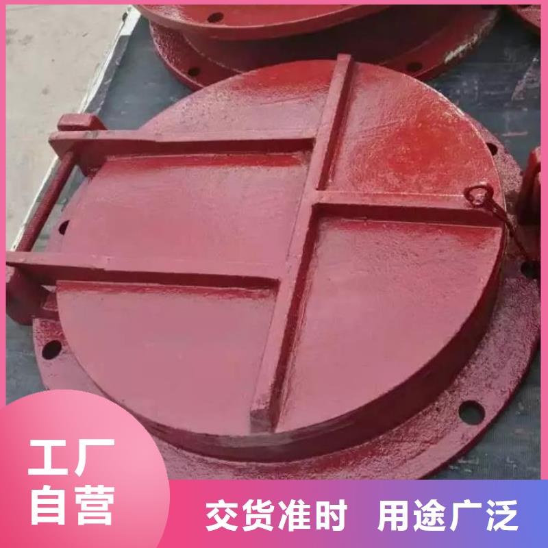 拍门不锈钢拍门按需定制