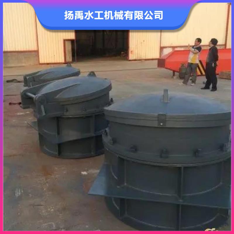 拍门-启闭机自有厂家