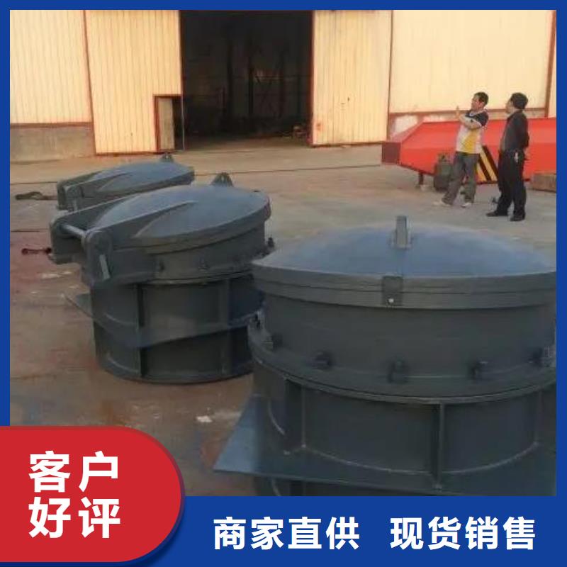 拍门【钢制闸门】实体厂家大量现货
