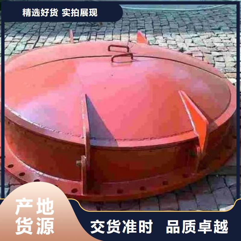 拍门,卷扬启闭机厂家直销厂家