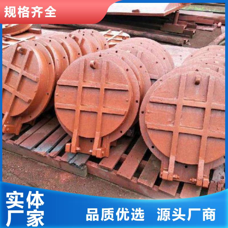 拍门,卷扬启闭机厂家懂您所需