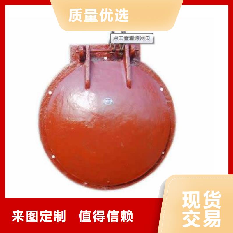 拍门,卷扬启闭机厂家懂您所需
