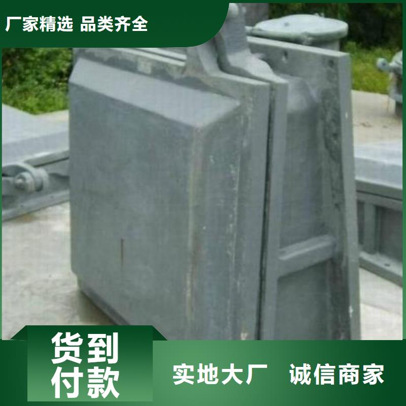 拍门-不锈钢清污机货源直供