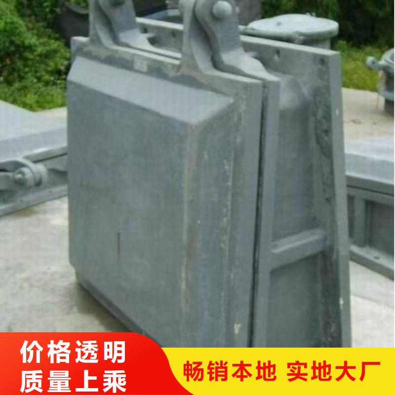 拍门,钢制拍门用心服务