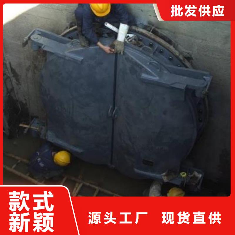 拍门厂家供应