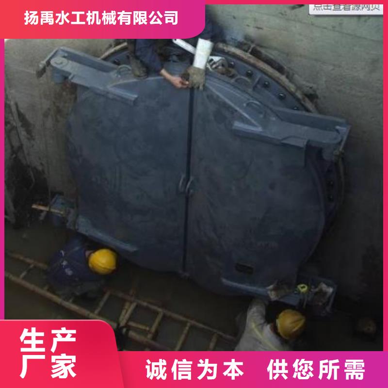 【拍门】球墨铸铁闸门厂家