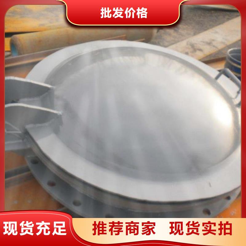 【拍门-闸门支持定制加工】